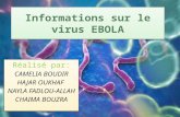 y Information Sur Le Virus EBOLA
