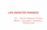 LP4 INFECTII FUNGICE.pptx