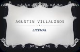 Agustin villalobos