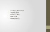 Farmacologia - Aminoglucosidos, Macrólidos, Lincosamidas, Fenicoles y Tetraciclinas