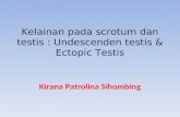 7. Undescenden Testis & Ectopic Testis