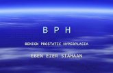 BPH dr Eben