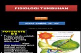 Biologi - Fisiologi Tumbuhan