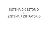 SDR - sistema digestorio e respiratorio