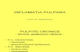 Inflamatia Pulpara II