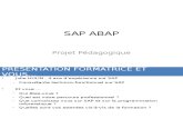 1 - Le Metier Developpeur SAP