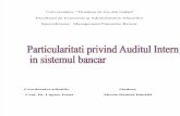 Audit Intern Bancar