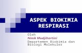 BIOKIMIA RESPIRASI2009-2010.ppt