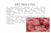 ERITROCITOS (1).pptx