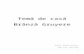 Branza Gruyere