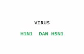 Virus Hini Dan h5n1