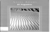 Ansel Adams- El Negativo, Omnicon, España, 1999