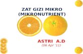 Zat Gizi Mikro(Mikronutrient)