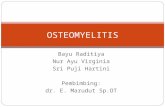 141860151 Osteomyelitis Ppt Jadi