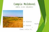 Campia Moldovei