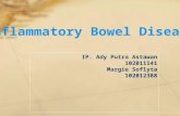 ppt inflammatory bowel syndrome