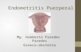 Endometritis Puerperal