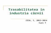 Curs 7 Trasabilitatea in industria c_rnii.ppt