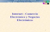 CAP. 10 INTERNET COMERCIO ELECTRONICO CLASES.ppt