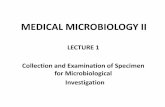Medical Microbiology II Lecture 1