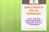 RIESGO BIOLÓGICO EN EL TRABAJO.ppt