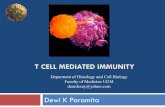 6. Imunitas Adaptive Seluler