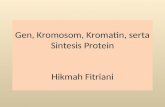 Gen, Kromatin, Dan Kromosom Dan Sintesis Protein Ppt