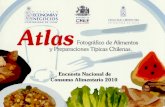 Atlas Fotográfico de Alimentos y Preparaciones Típicas Chilenas