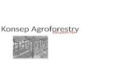Konsep Agroforestry