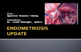 Endometriosis Update
