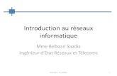 Introduction Au Réseaux Informatique