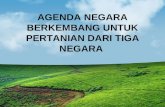 Agenda Negara Berkembang untuk Pertanian dari 3 Negara