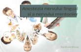 Anestezia nervului lingual si a nervului mentonier