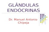 Glandulas Endocrinas - Aula Principal - 2015