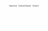 Gastro Intestinal Tract