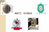 11-12 Anti Virus