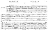 Sonata para dos pianos Stravinsky
