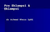 Presentasi Pre Eklampsi & Eklampsi RSU WSH 220710.ppt