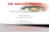 Ablasio Retina (2)
