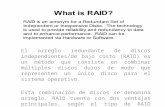 What is Raid