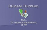 Demam Thypoid-dr Mahfudz