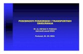 Posebnosti Pomorskih i Transportnih Zavarovanj Dr. Sc. Adriana Vincenca Padovan24.102012