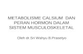 Metabolisme Dan Peran Hormon Dalam Sistem Musculoskeletal