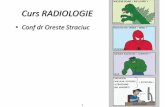 Radiologie An4 Sem 2 PPT