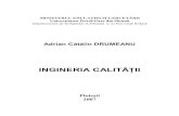 Ingineria-Calitatii (1)