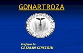 GONARTROZA Prof. CIRSTOIU CATALIN.ppt
