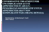 CONSERVATIVE TREATMENT FOR UNCOMPLICATED ACUTE APPENDICITIS IN ADULT.ppt