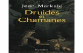Druides Et Chamanes -  Brighelli, Jean-Paul