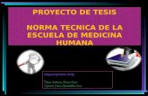 Proyecto de Tesis, Norma Tecnica Unjbg