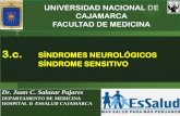 SINDROMES NEUROLOGICOS II - SINDROME SENSITIVO
